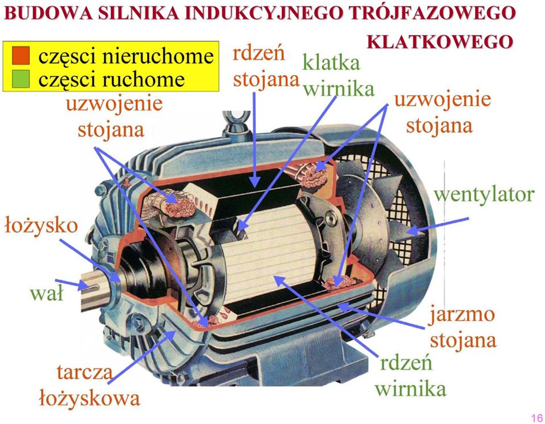 Budowa silnika indukcyjnego trójfazowego klatkowego