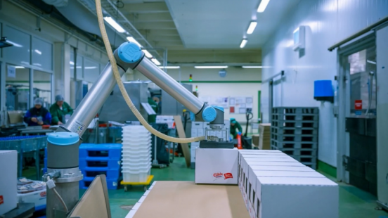 paletyzacja, cobot Universal Robots, OmniPack