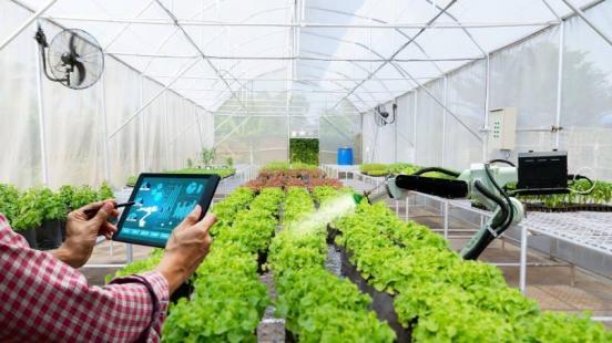 Projekt inteligentnej szklarni, która ogranicza ilość odpadów i zwiększa efektywność na farmach w Hiszpanii