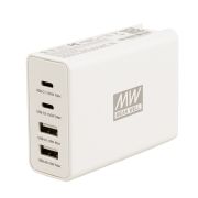 MEAN WELL USB-C 100W charger